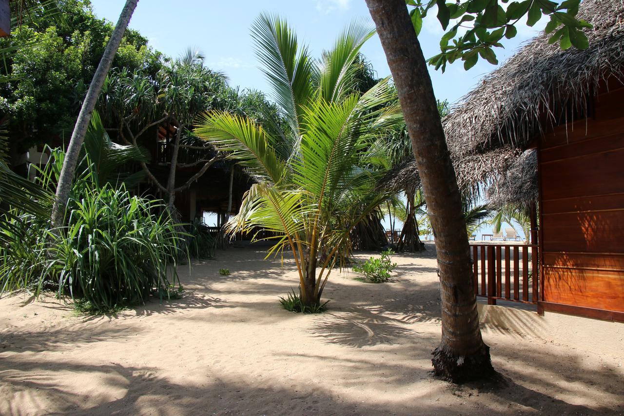 Shiva'S Beach Cabanas Tangalle Ngoại thất bức ảnh